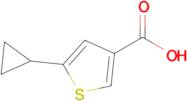 5-Cyclopropylthiophene-3-carboxylic acid