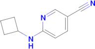 6-(Cyclobutylamino)nicotinonitrile