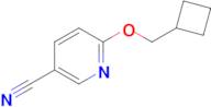 6-(Cyclobutylmethoxy)nicotinonitrile