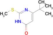 6-tert-butyl-2-(methylsulfanyl)-3,4-dihydropyrimidin-4-one