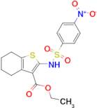 Ethyl 2-((4-nitrophenyl)sulfonamido)-4,5,6,7-tetrahydrobenzo[b]thiophene-3-carboxylate