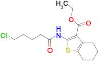 Ethyl 2-(5-chloropentanamido)-4,5,6,7-tetrahydrobenzo[b]thiophene-3-carboxylate