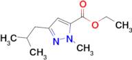 Ethyl 3-isobutyl-1-methyl-1H-pyrazole-5-carboxylate