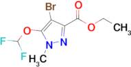 Ethyl 4-bromo-5-(difluoromethoxy)-1-methyl-1H-pyrazole-3-carboxylate