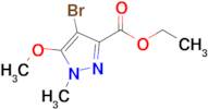 Ethyl 4-bromo-5-methoxy-1-methyl-1H-pyrazole-3-carboxylate