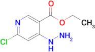 Ethyl 6-chloro-4-hydrazinylnicotinate