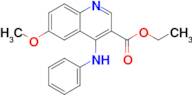 Ethyl 6-methoxy-4-(phenylamino)quinoline-3-carboxylate