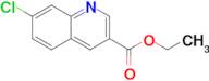 Ethyl 7-chloroquinoline-3-carboxylate