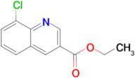 Ethyl 8-chloroquinoline-3-carboxylate