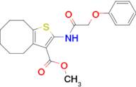 Methyl 2-(2-phenoxyacetamido)-4,5,6,7,8,9-hexahydrocycloocta[b]thiophene-3-carboxylate