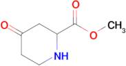 Methyl 4-oxopiperidine-2-carboxylate