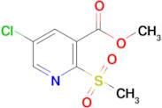 Methyl 5-chloro-2-(methylsulfonyl)nicotinate