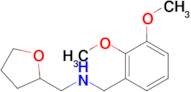 N-(2,3-dimethoxybenzyl)-1-(tetrahydrofuran-2-yl)methanamine