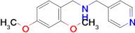 N-(2,4-dimethoxybenzyl)-1-(pyridin-4-yl)methanamine