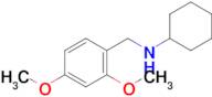 N-(2,4-dimethoxybenzyl)cyclohexanamine