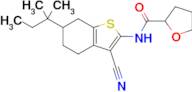 N-(3-cyano-6-(tert-pentyl)-4,5,6,7-tetrahydrobenzo[b]thiophen-2-yl)tetrahydrofuran-2-carboxamide