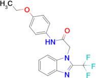 N-(4-ethoxyphenyl)-2-(2-(trifluoromethyl)-1H-benzo[d]imidazol-1-yl)acetamide