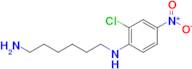 N1-(2-chloro-4-nitrophenyl)hexane-1,6-diamine