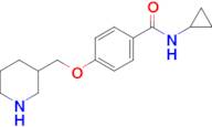 N-cyclopropyl-4-(piperidin-3-ylmethoxy)benzamide