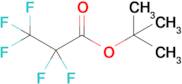 Tert-butyl 2,2,3,3,3-pentafluoropropanoate