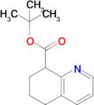 Tert-butyl 5,6,7,8-tetrahydroquinoline-8-carboxylate