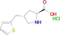 (2S,4S)-4-(thiophen-2-ylmethyl)pyrrolidine-2-carboxylic acid hydrochloride