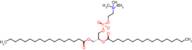 (R)-2,3-bis(heptadecanoyloxy)propyl (2-(trimethylammonio)ethyl) phosphate