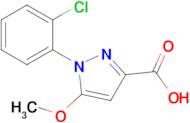 1-(2-Chlorophenyl)-5-methoxy-1H-pyrazole-3-carboxylic acid