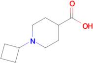 1-Cyclobutylpiperidine-4-carboxylic acid