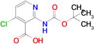 2-((Tert-butoxycarbonyl)amino)-4-chloronicotinic acid