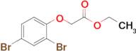 Ethyl 2-(2,4-dibromophenoxy)acetate