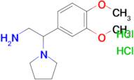 2-(3,4-Dimethoxyphenyl)-2-(pyrrolidin-1-yl)ethan-1-amine dihydrochloride