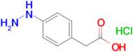 2-(4-Hydrazinylphenyl)acetic acid hydrochloride