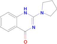 2-(pyrrolidin-1-yl)-1,4-dihydroquinazolin-4-one