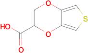 2,3-Dihydrothieno[3,4-b][1,4]dioxine-2-carboxylic acid