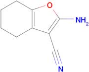 2-Amino-4,5,6,7-tetrahydrobenzofuran-3-carbonitrile