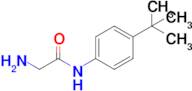 2-Amino-N-(4-(tert-butyl)phenyl)acetamide