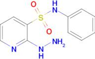 2-Hydrazinyl-N-phenylpyridine-3-sulfonamide