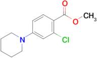 Methyl 2-chloro-4-(piperidin-1-yl)benzoate