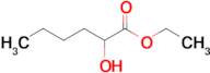 Ethyl 2-hydroxyhexanoate