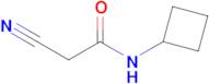 2-Cyano-N-cyclobutylacetamide