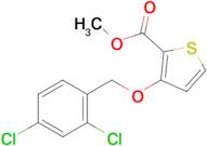 Methyl 3-((2,4-dichlorobenzyl)oxy)thiophene-2-carboxylate