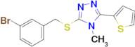 3-((3-Bromobenzyl)thio)-4-methyl-5-(thiophen-2-yl)-4H-1,2,4-triazole