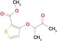 Methyl 3-((3-oxobutan-2-yl)oxy)thiophene-2-carboxylate