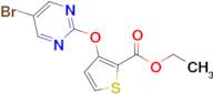 Ethyl 3-((5-bromopyrimidin-2-yl)oxy)thiophene-2-carboxylate