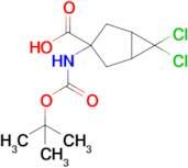 3-((Tert-butoxycarbonyl)amino)-6,6-dichlorobicyclo[3.1.0]Hexane-3-carboxylic acid