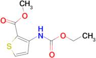 Methyl 3-((ethoxycarbonyl)amino)thiophene-2-carboxylate