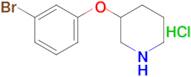 3-(3-Bromophenoxy)piperidine hydrochloride