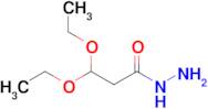 3,3-Diethoxypropanehydrazide