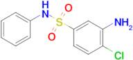 3-Amino-4-chloro-N-phenylbenzenesulfonamide